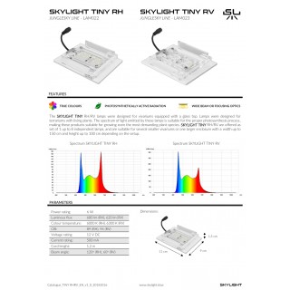 Skylight Tiny RV set de 4